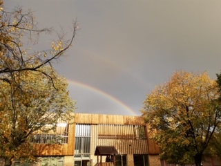 bienkorf regenboog 2