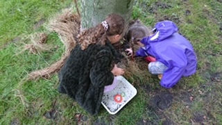 Herfstwandeling onderbouw