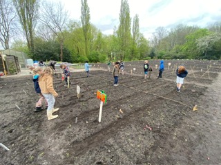 Schooltuinen voor groep 6